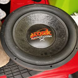 Subwoofers And Amplifiers 