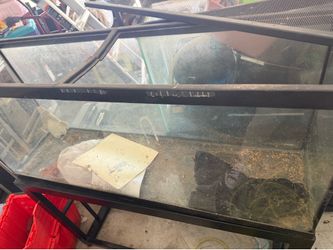 55 Gallon tank with steel stand