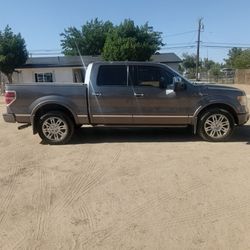 2010 Ford PLATINUM