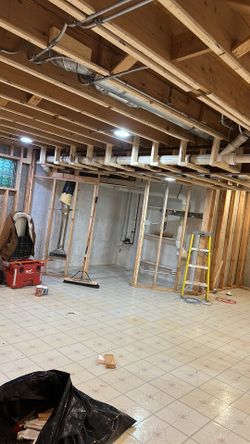 bathroom renovation and drywall and finishing and painting and much more