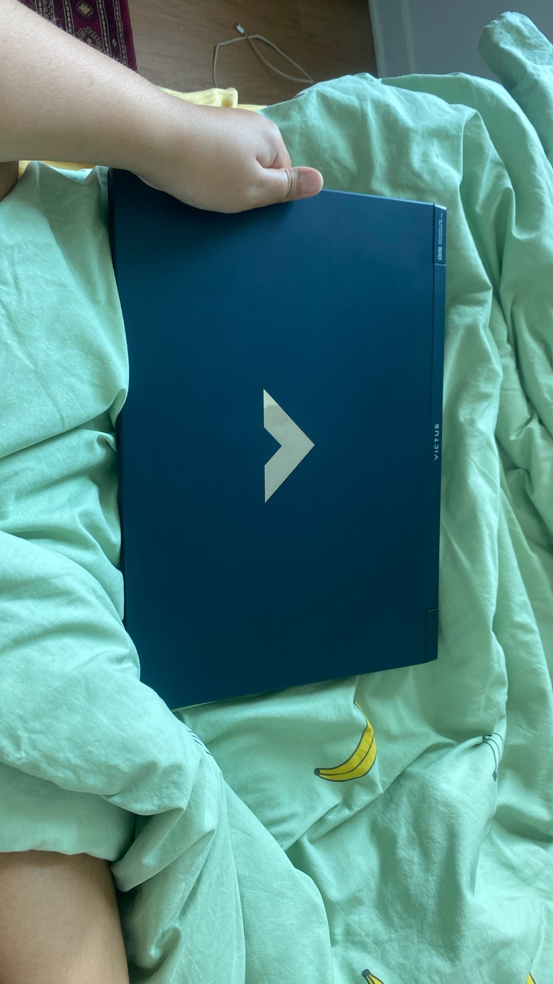 Hp Victus Gaming Laptop