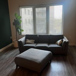Article Sofa For Sale