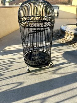 Bird Cage