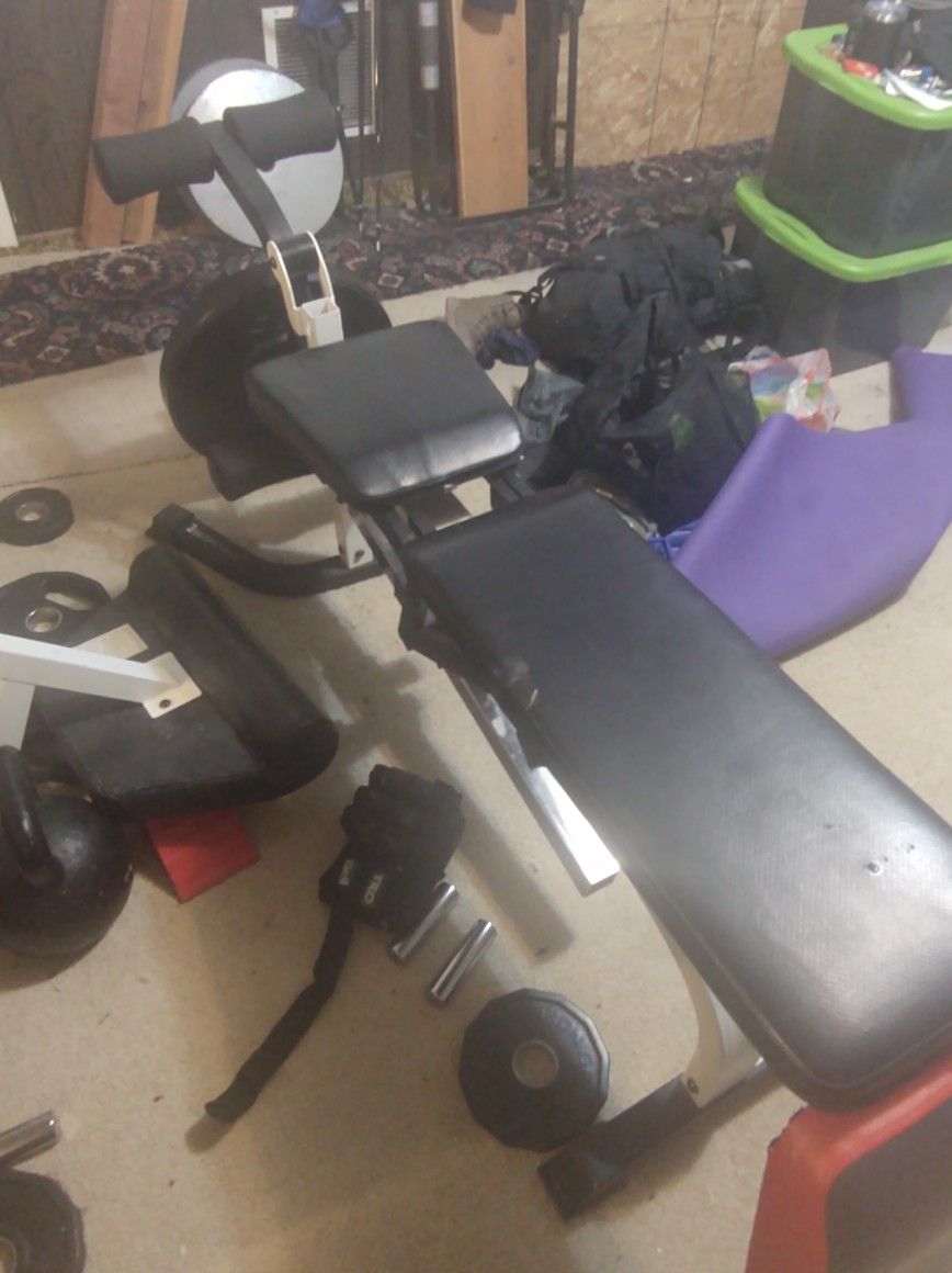 Dumbbell Weight Bench With Leg Curl And Arm Curl Attachment