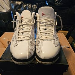 Air Jordan Dub Zero Size 12