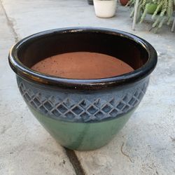 Large New Plant Pots - $38 Each