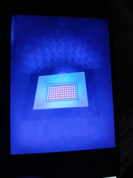 50 Watt Black Lights