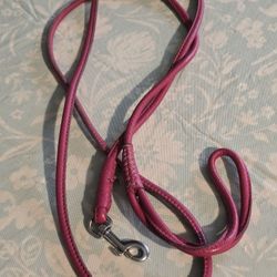 Leather Leash (About 7 Feet Long)