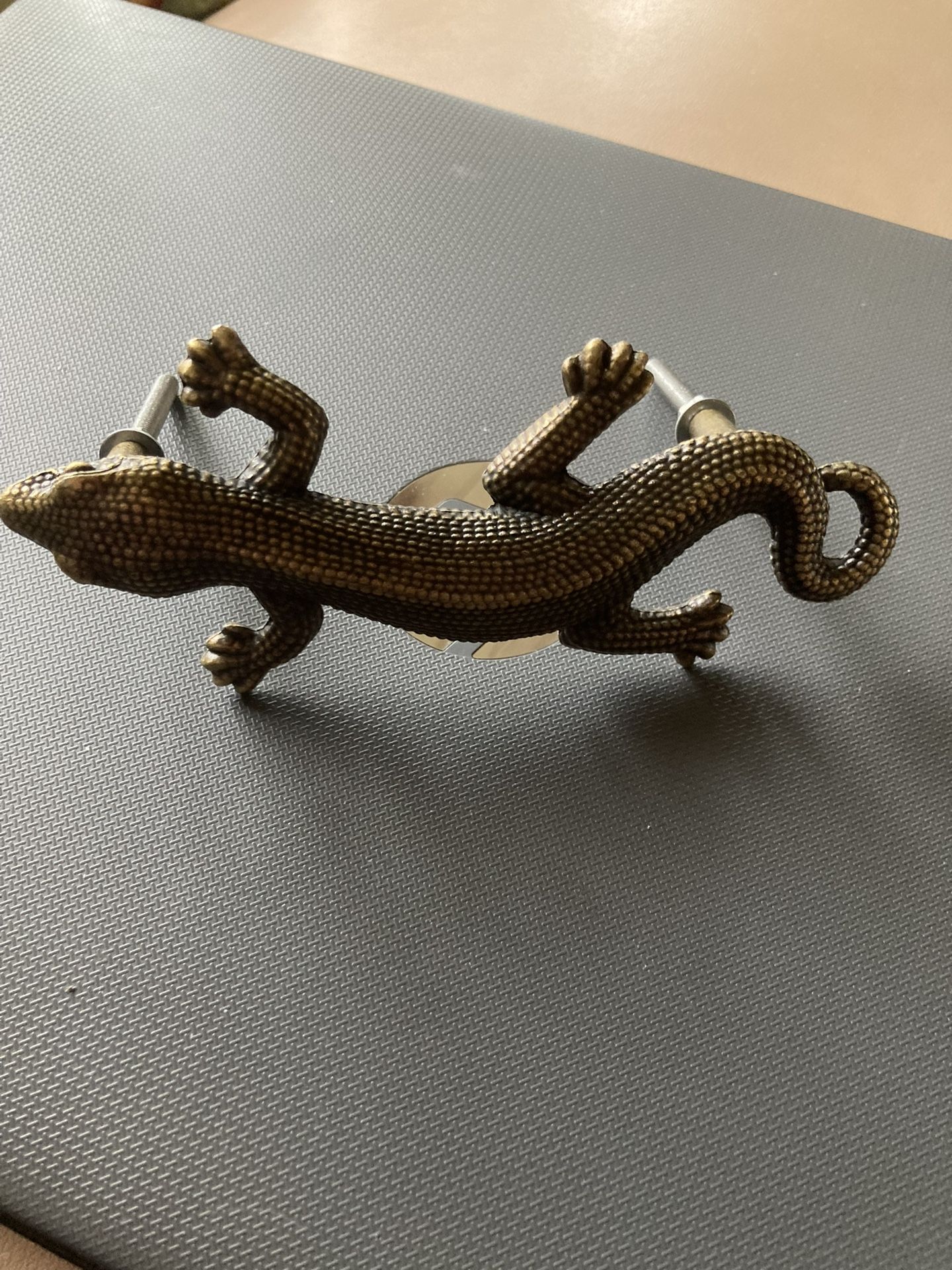 Iguana Drawer Pull