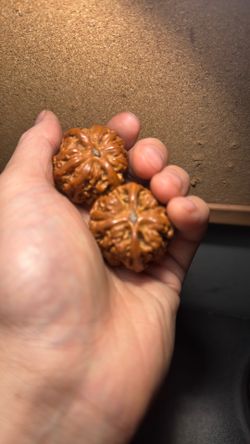 Pair of Match Chinese Health Walnut 40mm 精配文玩核桃~平谷大粗筋