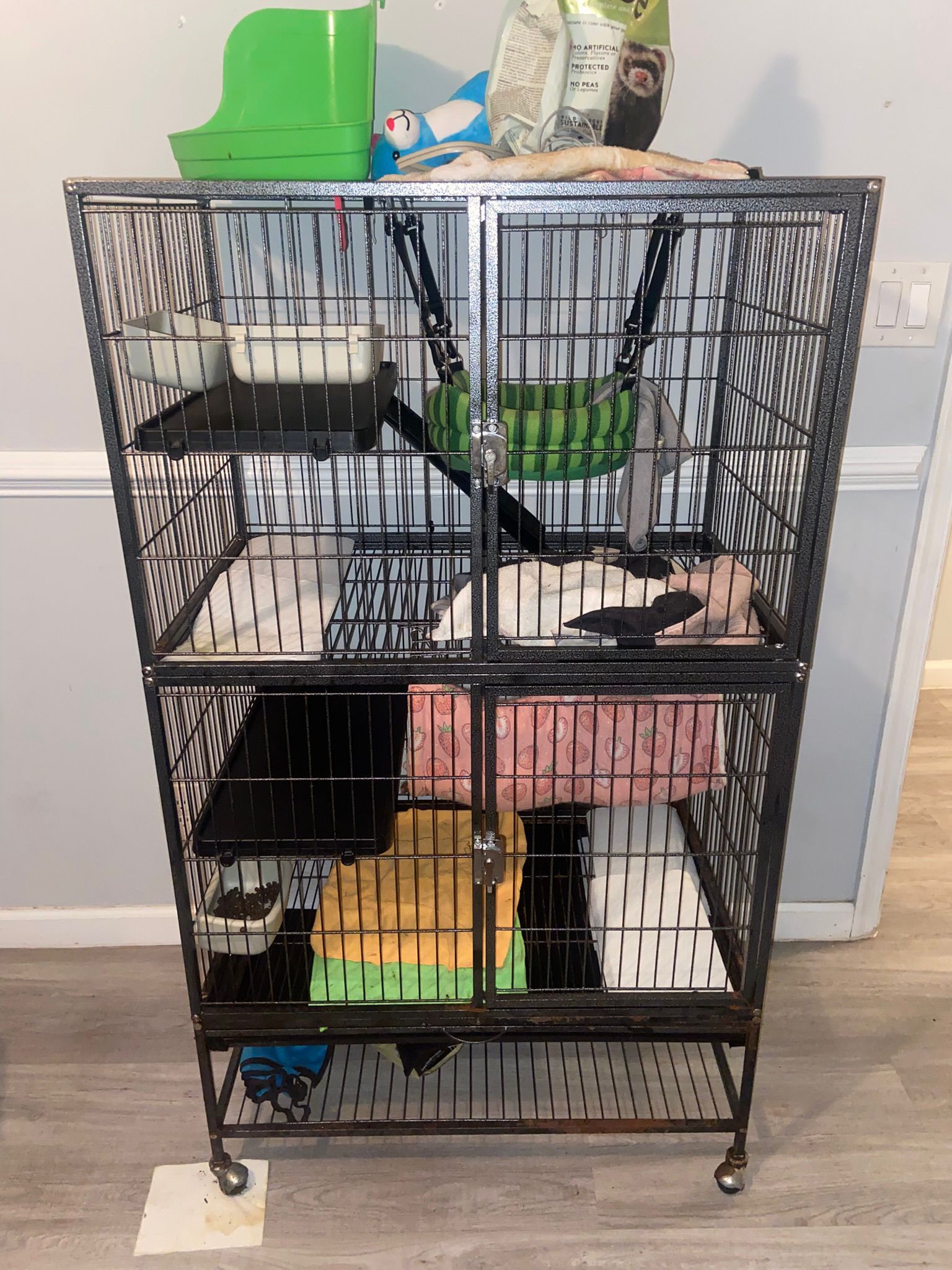 Cage Ferret