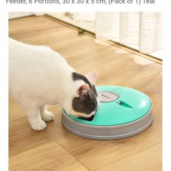 Electronic Timed Pet Feeder