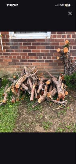 Free. Fire wood. (. Bayside ). 11364
