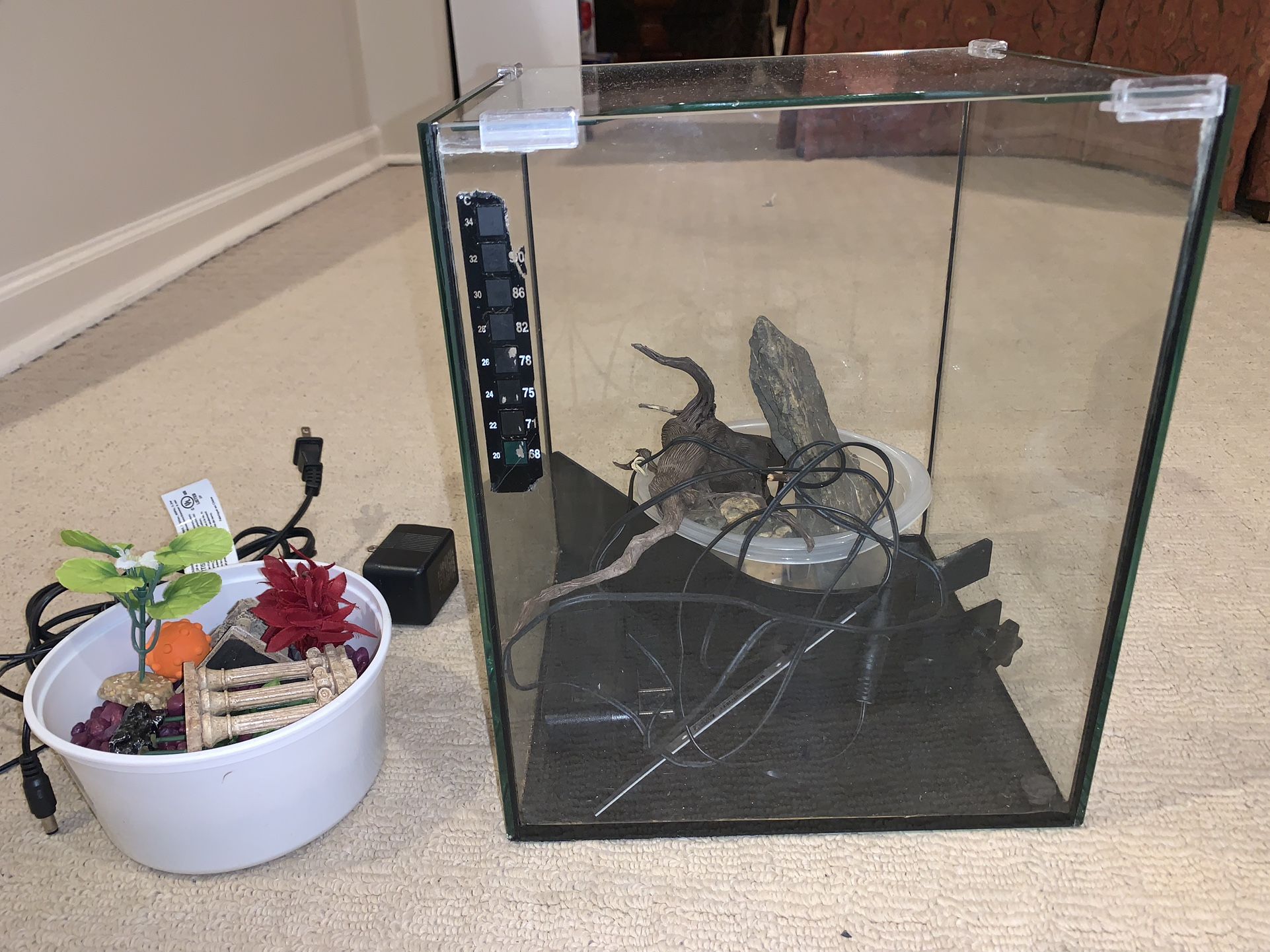 Five Gallon Nano Fish Tank with Led light, decorations and water pump