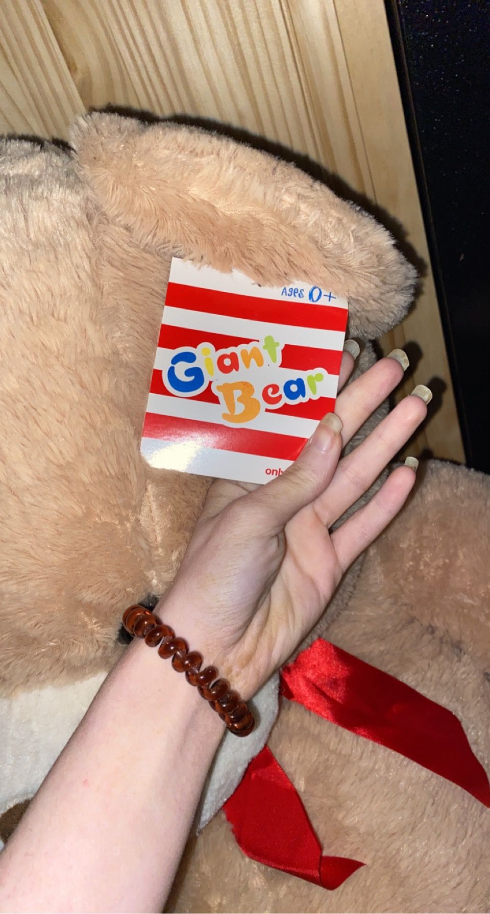 3 Foot Bear Still Has Tags
