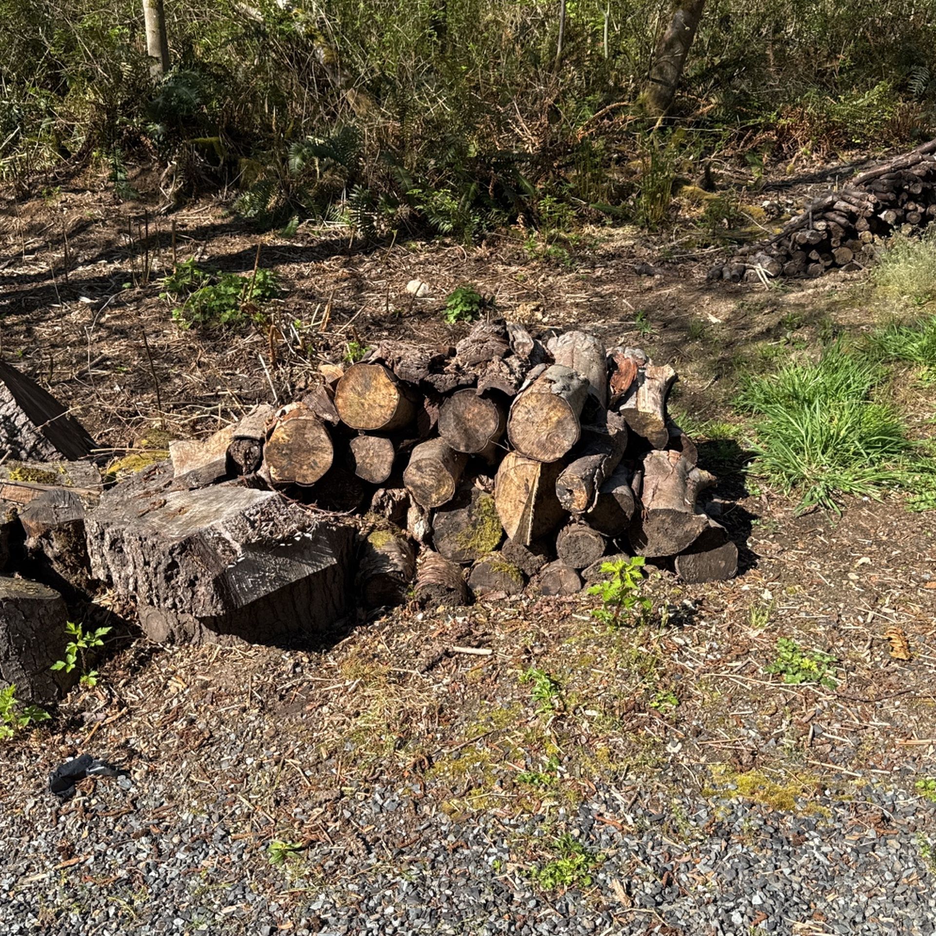 Free Dry Firewood Ready To Burn - Hwy 9/180 Th - Clearview Behind Safeway
