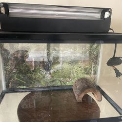 10 gallon fish tank with lights and screen