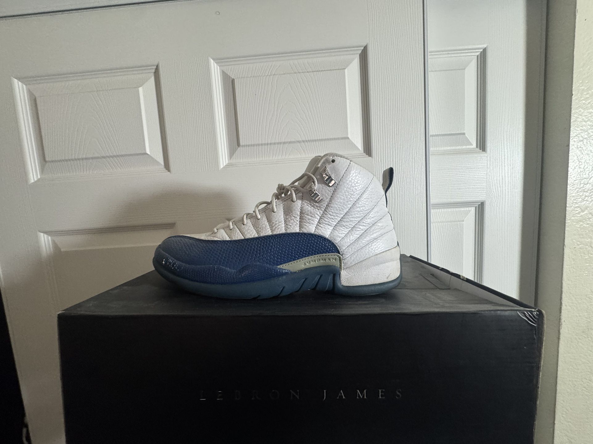 French Blue Air Jordan 12