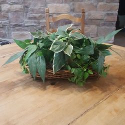 Decorative Artificial Plant