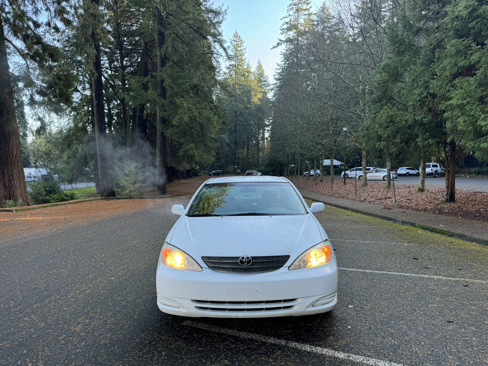 2004 Toyota Camry