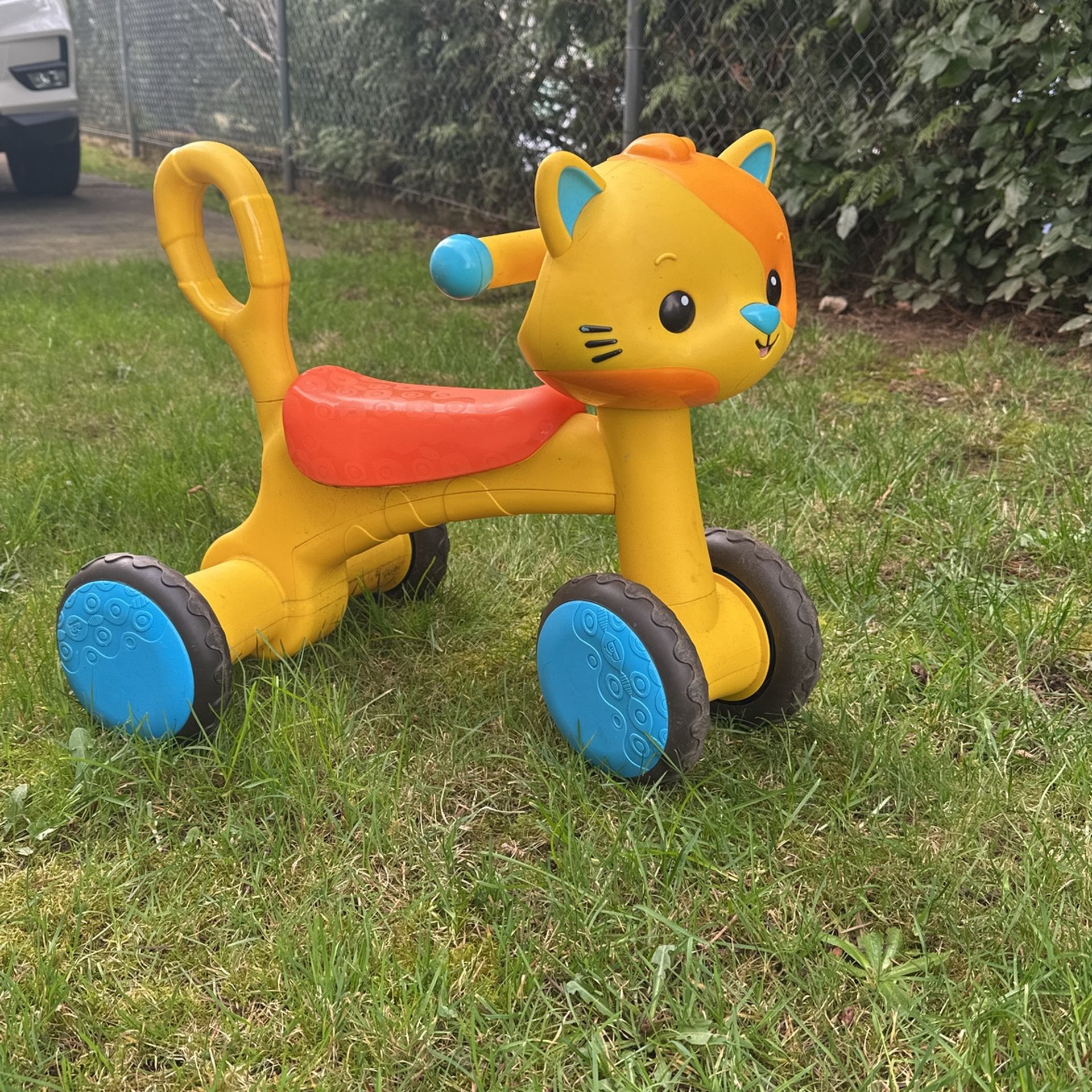 Toy Riding Buddy Cat