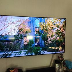 TV (Read Description!!)