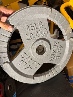 Very nice pair of 45s Olympic weight plates