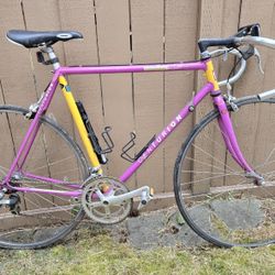  Centurion Ironman Dave Scott Road Bike