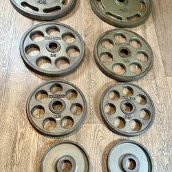  IVANKO  Revolver (45s Different Style/ Searching the revolvers to replace it): Pairs of 45s, 35s, 25s and 10s ( Total: 230 lbs)