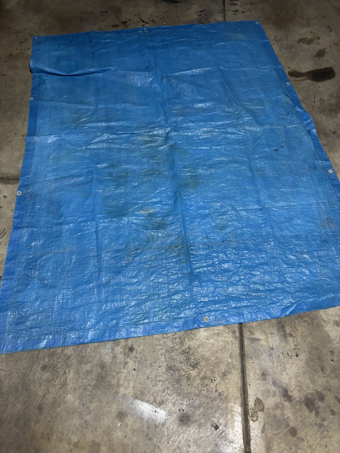 Poly Tarps 4 Count