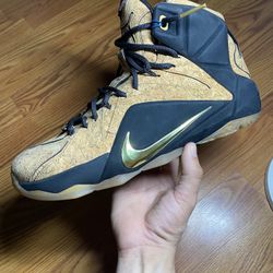 2015 Nike LeBron 12 EXT “kings Cork”
