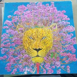 Colored Pictures 
