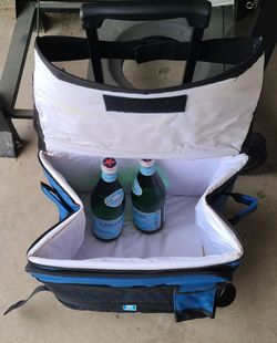 Cooler bag