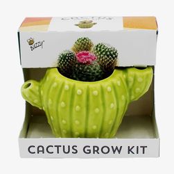 Buzzy Cactus Grow Kit
