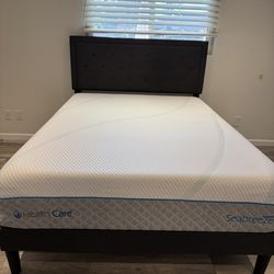 Modern Bedroom Set: [Queeb] Mattress & Bed Frame
