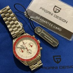 Pagani Design PD1701 Mens Watch