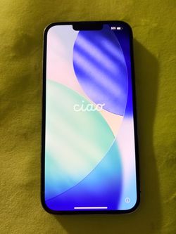 iPhone 13 Pro Max Unlocked