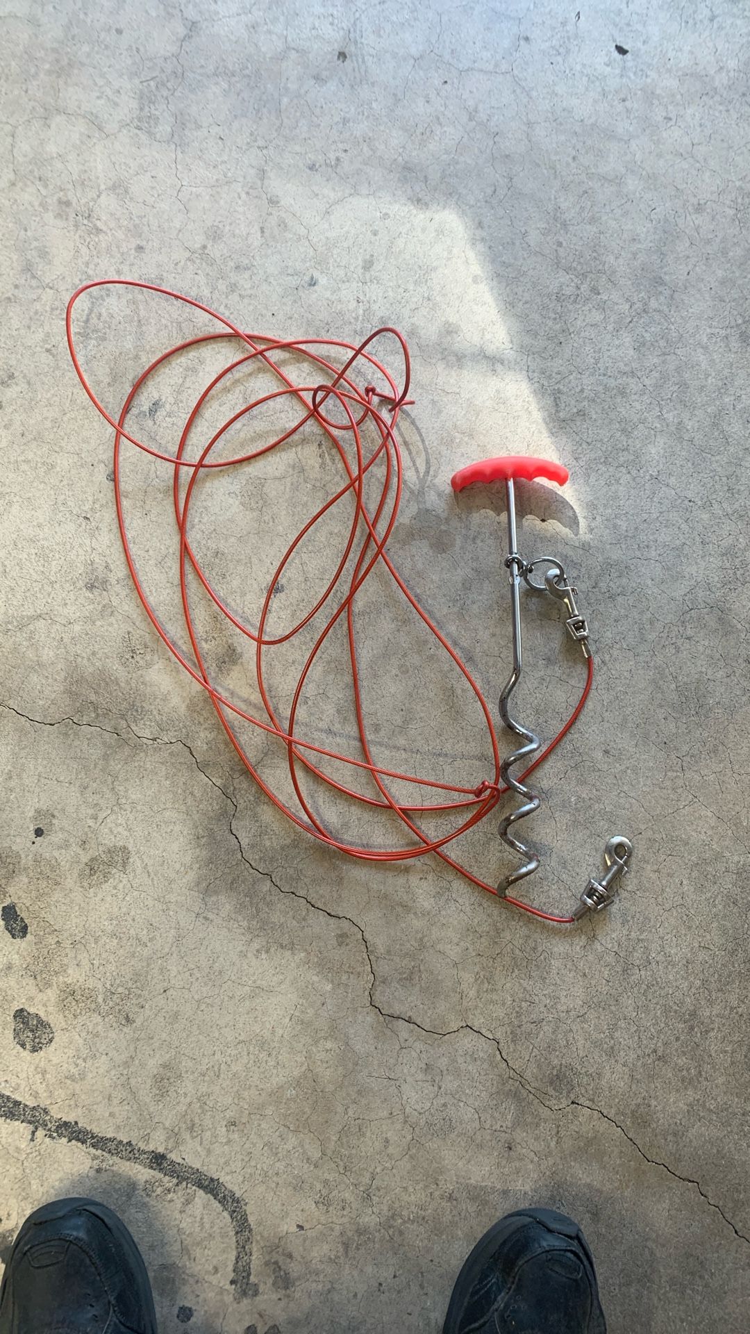 Dog Leash