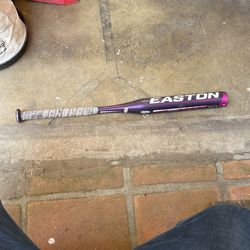 Easton Bat