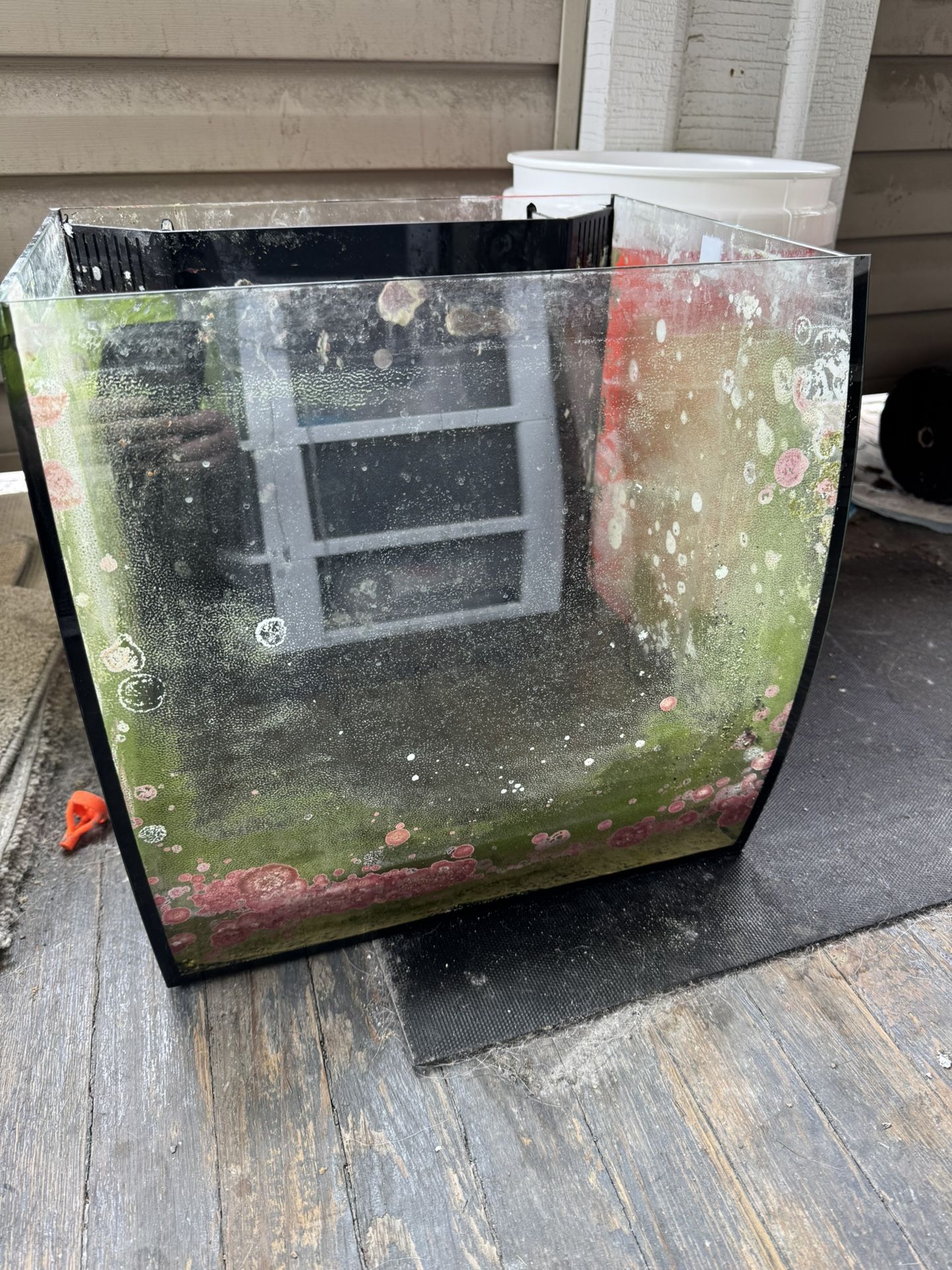 Saltwater Lot
