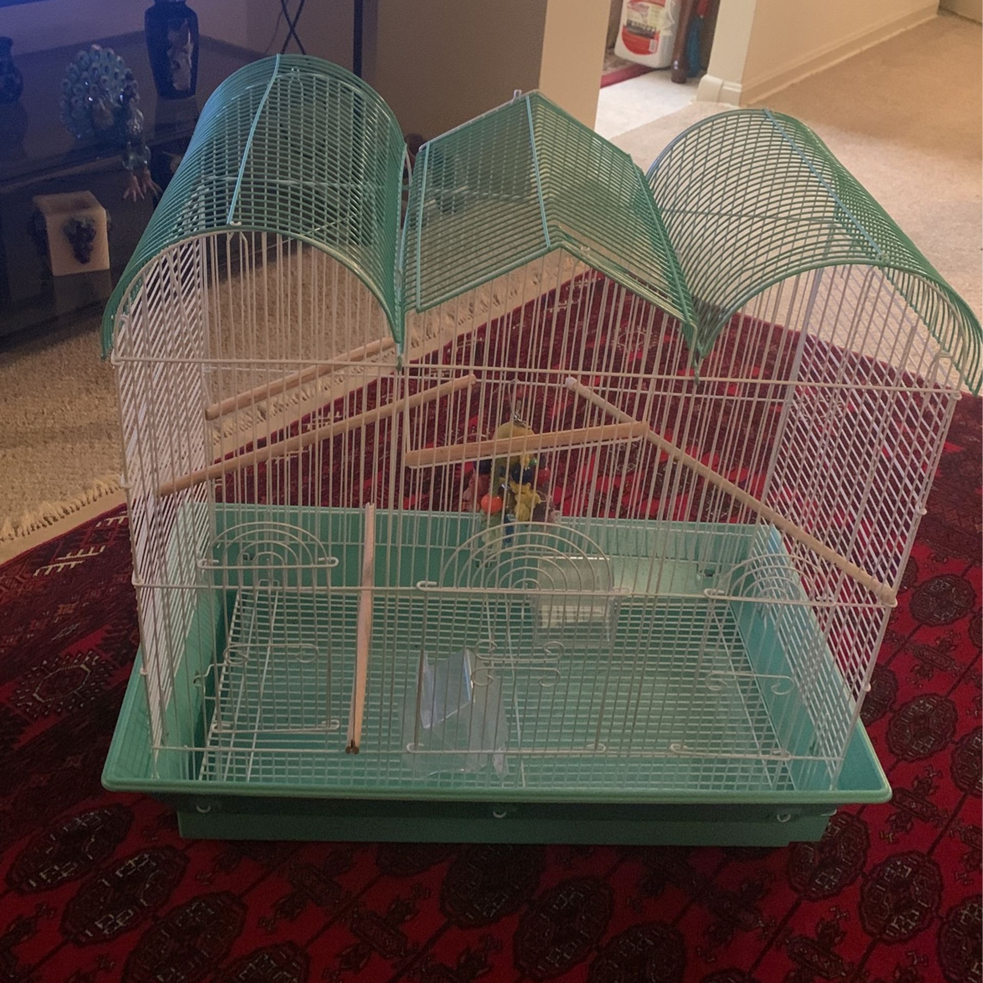 Bird Cage