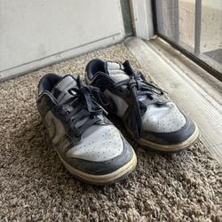 Nike Dunks 