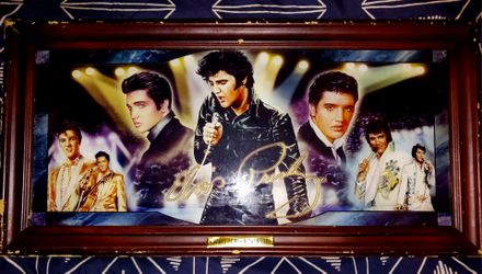 The Bradford Exchange 2005 Elvis collection Picture