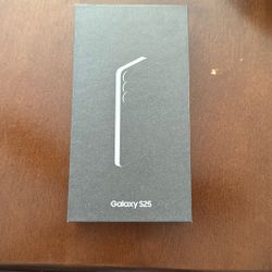 Samsung Galaxy S25
