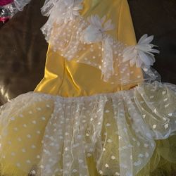 Little Girls Dance Costumes 