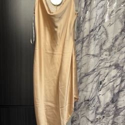 Tan Silk Dress 