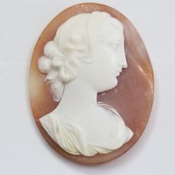 Loose Shell Cameo 