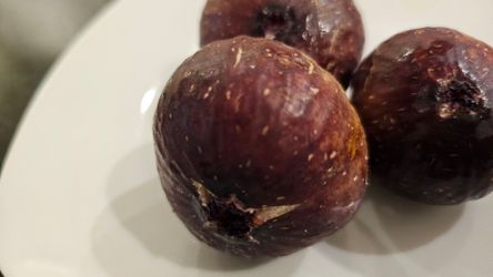 Home grown Figs, organic no pesticides