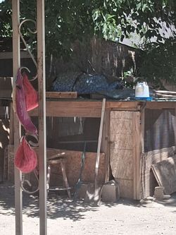 Chicken coop