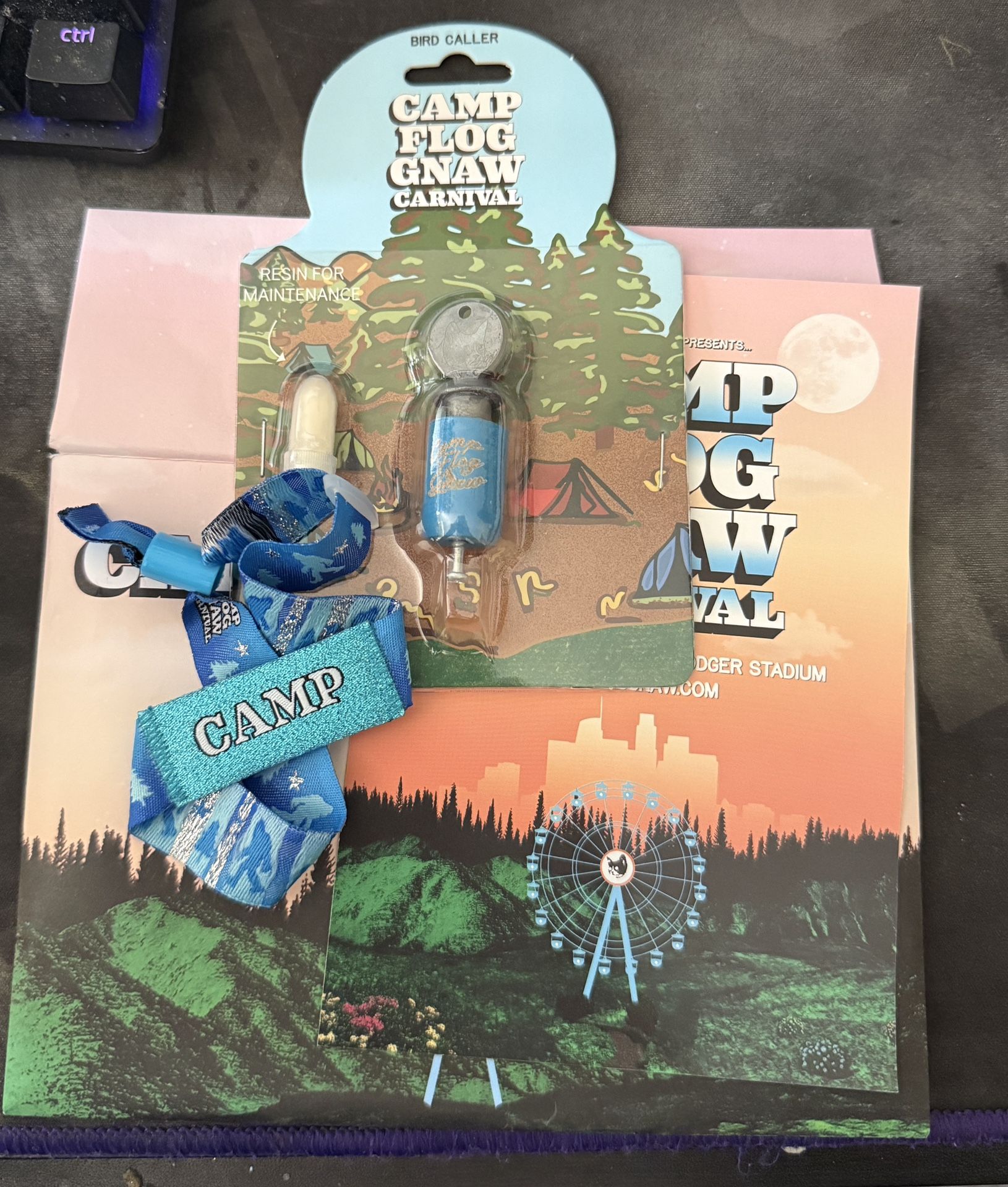 Camp Flog Gnaw Ticket